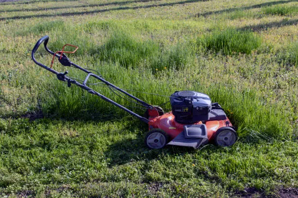 Can you mow wet grass Davie, FL