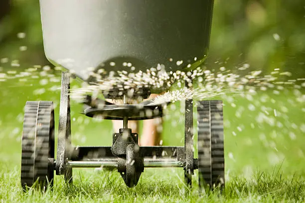 How often should you fertilize your lawn Davie, FL