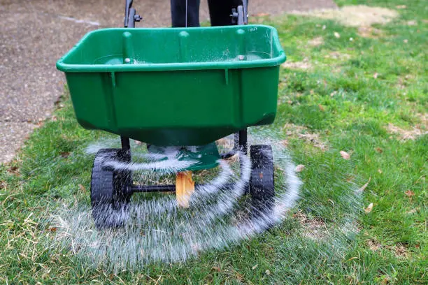 How often should you fertilize your lawn in Davie, FL