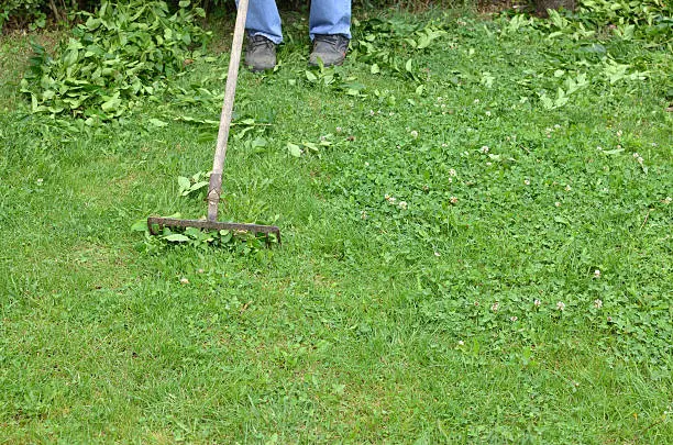 How to clear a yard full of weeds Davie, FL