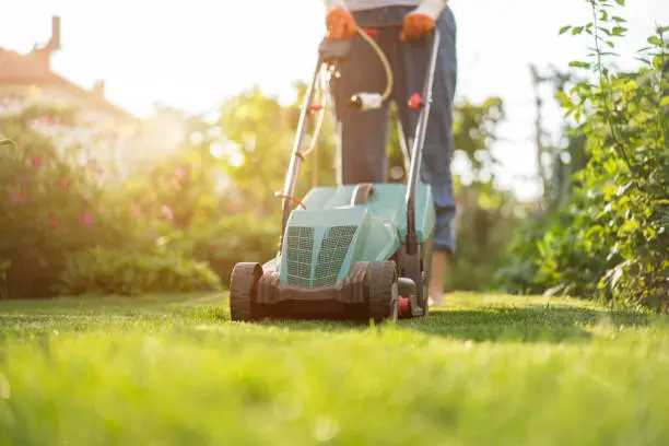 How to mow a lawn Davie, FL