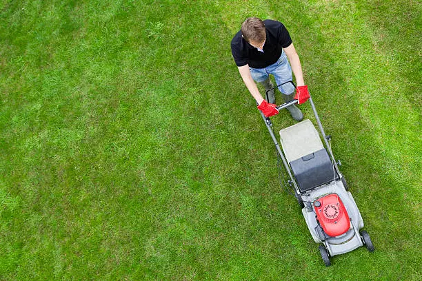 How to mow a lawn in Davie, FL