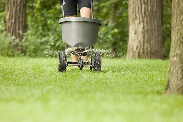 Lawn Fertilization in Davie, FL