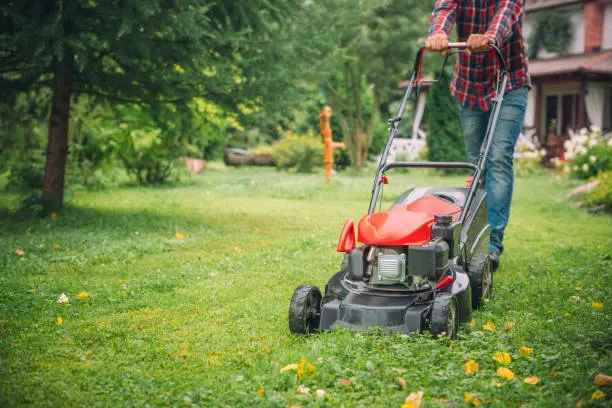 Lawn Mowing Davie, FL