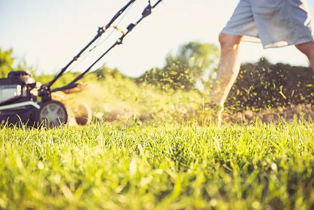 Lawn Mowing in Davie, FL