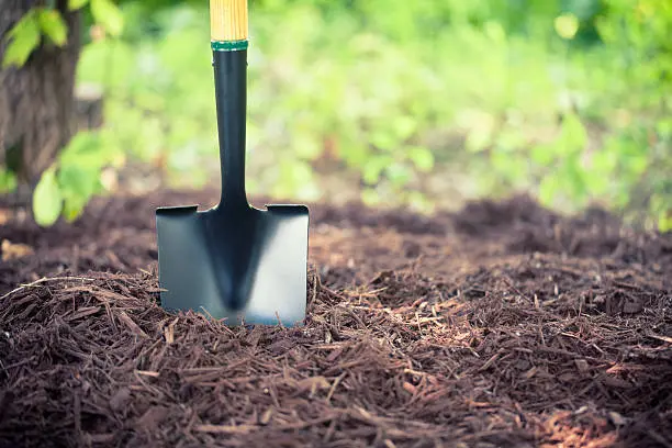 Mulching in Davie, FL