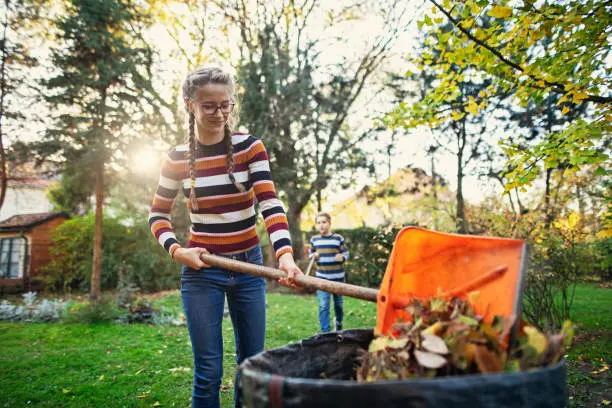 Reliable Yard Cleanup in Davie, FL