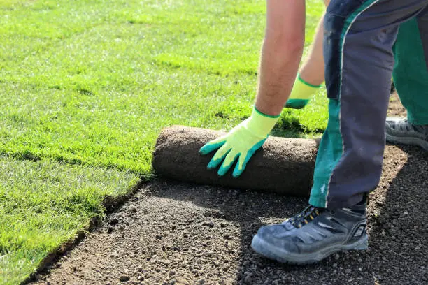 Sod Installation Davie, FL