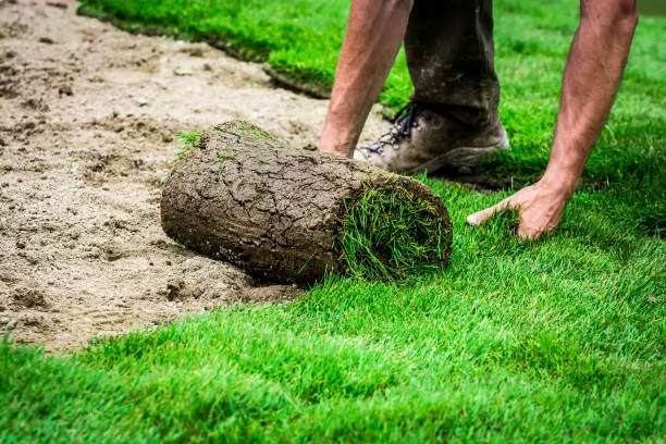 Sod Installation