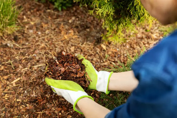 What does mulch do in Davie, FL