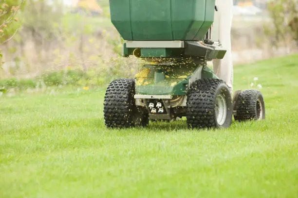 When is the best time to fertilize your lawn Davie, FL