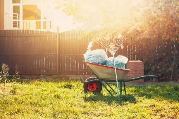 Yard Cleanup in Davie, FL